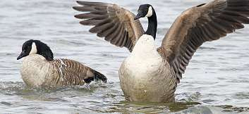 Ausflüge - Veranstaltungen - Kurzurlaub Image 4 Ausflüge - Veranstaltungen - Kurzurlaub Image 4