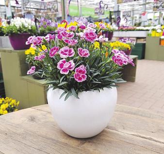 Für Einsteiger bieten die Golf-Clubs auch in dieser Saison wieder Schnupperkurse an, die von erfahrenen Trainern begleitet werden. Foto: Das Lichtbild Studio Für Einsteiger bieten die Golf-Clubs auch in dieser Saison wieder Schnupperkurse an, die von erfahrenen Trainern begleitet werden. Foto: Das Lichtbild Studio