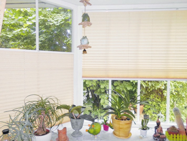 Plissees kann man von oben und unten schieben und so den Sichtschutz variabel gestalten Foto: Sabine Skibbe Plissees kann man von oben und unten schieben und so den Sichtschutz variabel gestalten Foto: Sabine Skibbe