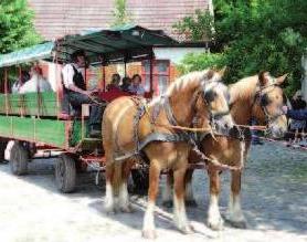 Zum traditionellen Trittauer Mühlenmarkt zeigen am Pfingstwochenende rund 150 Aussteller Kunsthandwerk und Gartenaccessoires auf dem Gelände der 350 Jahre alten Wassermühle Zum traditionellen Trittauer Mühlenmarkt zeigen am Pfingstwochenende rund 150 Aussteller Kunsthandwerk und Gartenaccessoires auf dem Gelände der 350 Jahre alten Wassermühle