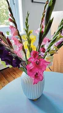 Bei Blume 2000 gibt es jede Menge Blumen für den Garten zur Auswahl Fotos: Grell Bei Blume 2000 gibt es jede Menge Blumen für den Garten zur Auswahl Fotos: Grell