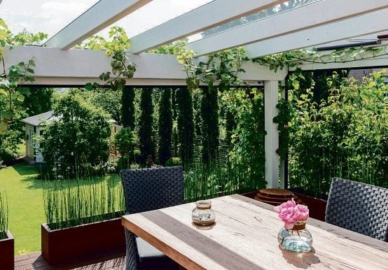 Bepflanzungen direkt an der Grundstücksgrenze lockern einen strengen Holzzaun optisch auf. Bepflanzungen direkt an der Grundstücksgrenze lockern einen strengen Holzzaun optisch auf.