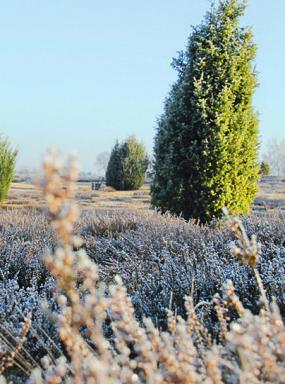 Valentins-Special für Paare Image 3 Valentins-Special für Paare Image 3