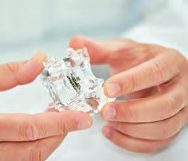 Wirbelsäule anders gedacht Image 1 Wirbelsäule anders gedacht Image 1