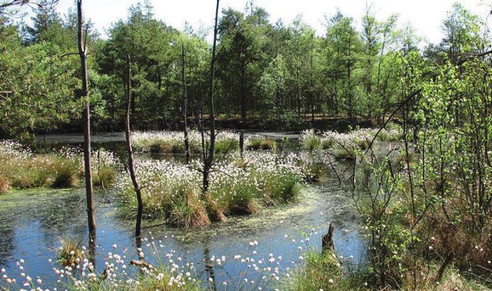 Goldener Herbst in Hitzacker Image 3 Goldener Herbst in Hitzacker Image 3