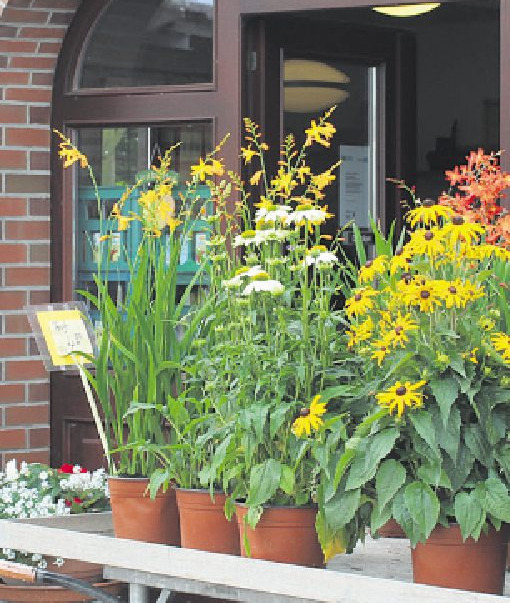 Auf dem Obsthof am Sachsenwald gibt es auch Beetund Balkonblumen Foto: pr Auf dem Obsthof am Sachsenwald gibt es auch Beetund Balkonblumen Foto: pr