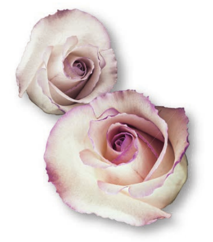 Wichtige Adressen in Hamburg Image 1 Wichtige Adressen in Hamburg Image 1