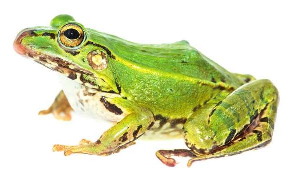 Tipps, Termine & Aktionen Image 3 Tipps, Termine & Aktionen Image 3