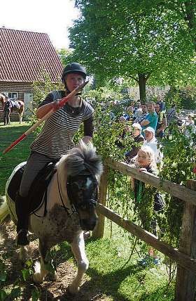 Beim Ringreiten muss im Galopp geritten werden. Hier gilt es, mit der Lanze einen kleinen Ring von einem Galgen zu ziehen. Foto: Ringreiterverein Wilstedt Beim Ringreiten muss im Galopp geritten werden. Hier gilt es, mit der Lanze einen kleinen Ring von einem Galgen zu ziehen. Foto: Ringreiterverein Wilstedt