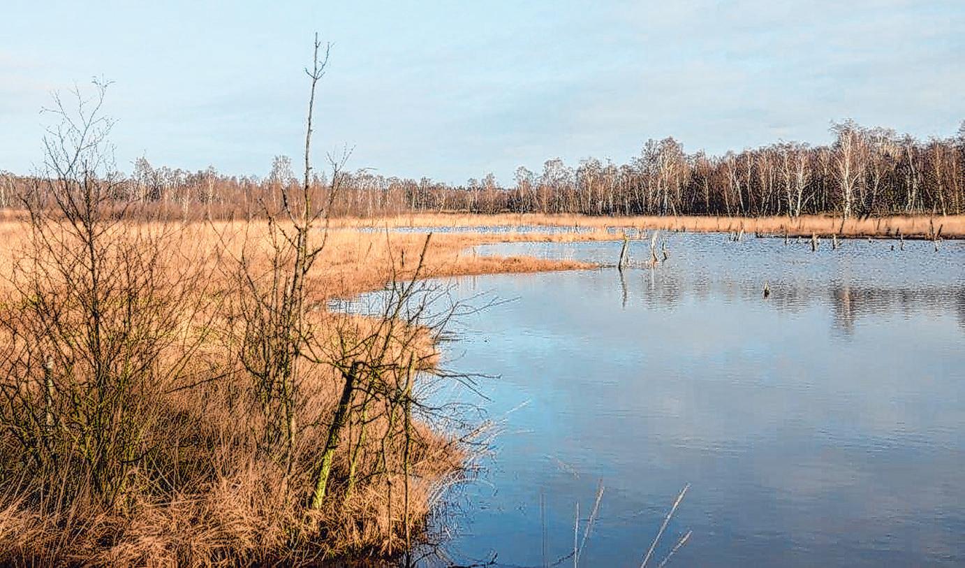 Foto: H. Wolters  Foto: H. Wolters