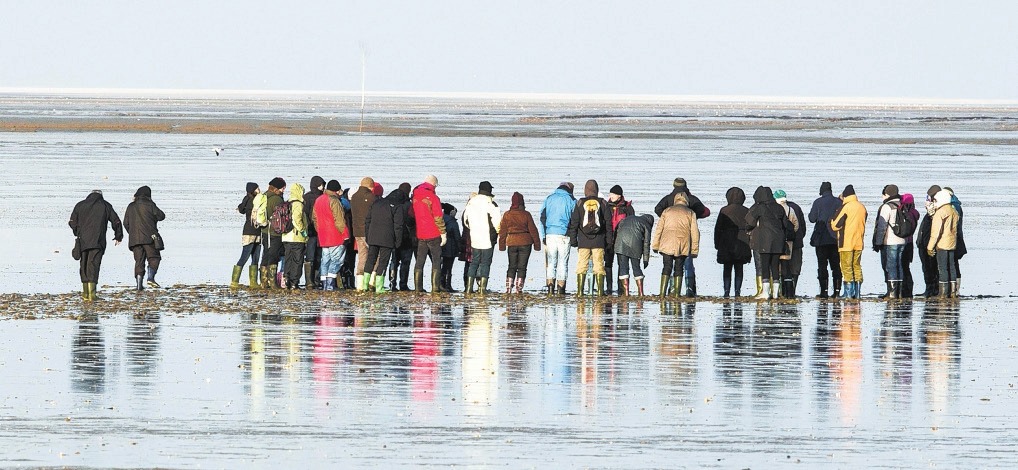 Nach einem schönen Spaziergang am Nord- oder Ostseestrand geht es daheim in ein gemütliches Lokal Foto: Martin Stöver Nach einem schönen Spaziergang am Nord- oder Ostseestrand geht es daheim in ein gemütliches Lokal Foto: Martin Stöver