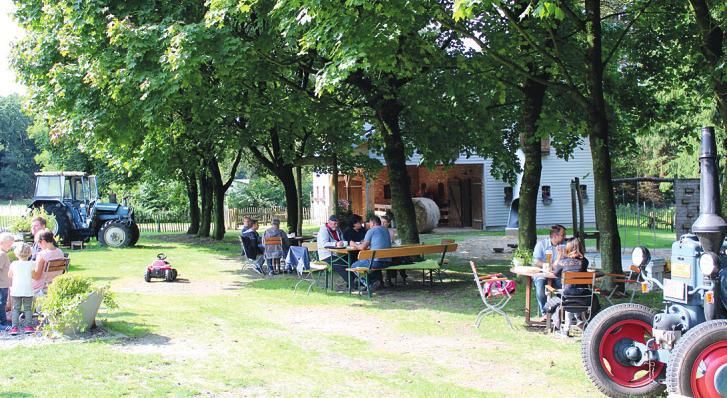 Im Schatten von Bäumen lässt es sich auf dem Dithmarscher Gänsemarkt gut aushalten Im Schatten von Bäumen lässt es sich auf dem Dithmarscher Gänsemarkt gut aushalten