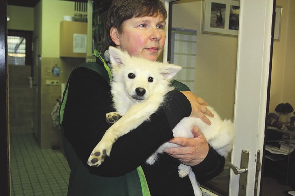 Tierpflegerin Dagmar Stahl mit dem kleinen Spitzwelpen Marie Foto: Pöhlsen Tierpflegerin Dagmar Stahl mit dem kleinen Spitzwelpen Marie Foto: Pöhlsen