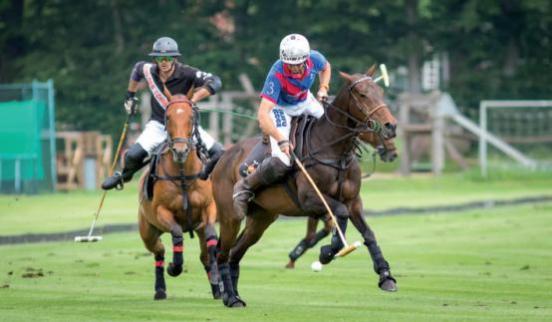 Beim Turnier spielen auch Deutschlands bester Polospieler Thomas Winter sowie Nationalspieler mit. FOTO: BERNHARD WILLROTH