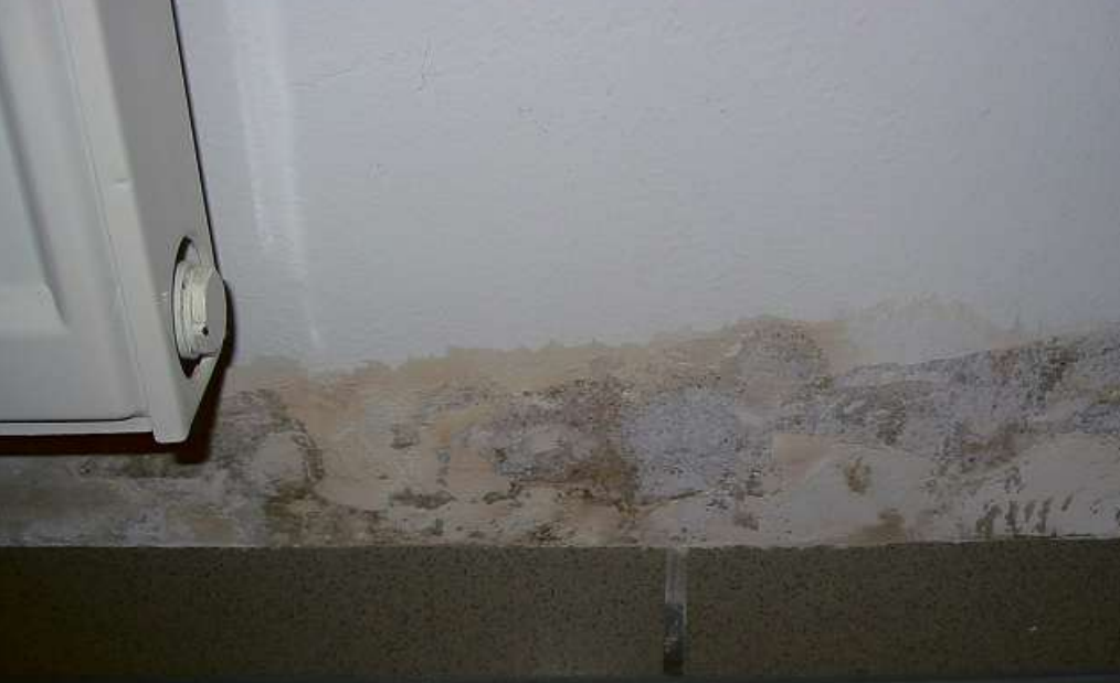 Feuchtigkeit und Nässe während der Bauphase begünstigen eine spätere Schimmelbildung Feuchtigkeit und Nässe während der Bauphase begünstigen eine spätere Schimmelbildung