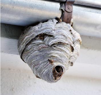 Vorsicht: Stichverletzungen! FOTO: STERNELEBEN_FOTOLIA.COM