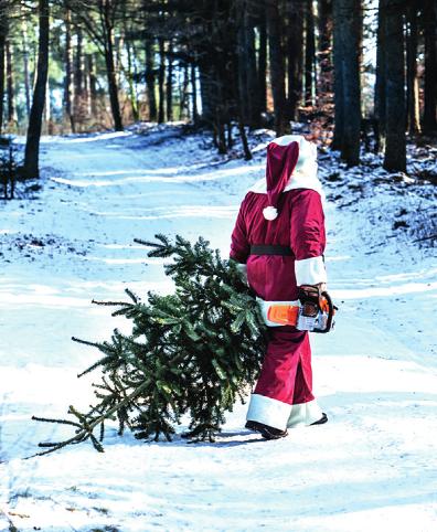 Wenn selbst der Weihnachtsmann zur Säge greift Image 2 Wenn selbst der Weihnachtsmann zur Säge greift Image 2