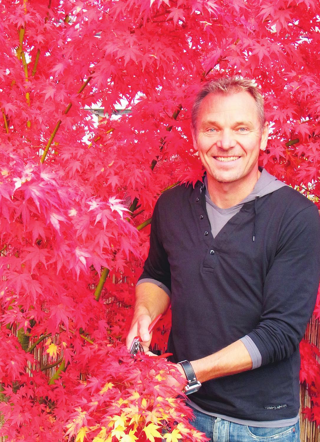 Leuchtend rot zeigt sich dieser japanische Fächerahorn im Herbst. „Herbstfarben-Feuerwerk“ heißt denn auch die Veranstaltung, zu der Holger Hachmann für das Wochenende 12./13. Oktober nach Barmstedt einlädt Fotos: Skibbe Leuchtend rot zeigt sich dieser japanische Fächerahorn im Herbst. „Herbstfarben-Feuerwerk“ heißt denn auch die Veranstaltung, zu der Holger Hachmann für das Wochenende 12./13. Oktober nach Barmstedt einlädt Fotos: Skibbe