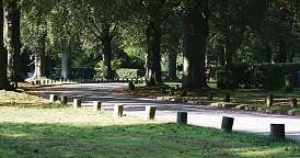 Wer im Dunkeln wandert, benötigt jemanden, der ihn wieder in die Sonne begleitet Wer im Dunkeln wandert, benötigt jemanden, der ihn wieder in die Sonne begleitet