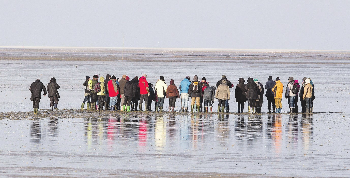 Bei einer Winter-Wattwanderung sind eine warme Jacke, Mütze und Schal sowie dicke Socken Pflicht Foto: djd/Kurverein Neuharlingersiel e.V./ Martin Stöver Bei einer Winter-Wattwanderung sind eine warme Jacke, Mütze und Schal sowie dicke Socken Pflicht Foto: djd/Kurverein Neuharlingersiel e.V./ Martin Stöver