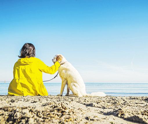 Stadtteil mit Meerblick: Das zu Lübeck zählende Travemünde begeistert zwei- und vierbeinige Strandliebhaber gleichermaßen Foto: LTM  Stadtteil mit Meerblick: Das zu Lübeck zählende Travemünde begeistert zwei- und vierbeinige Strandliebhaber gleichermaßen Foto: LTM