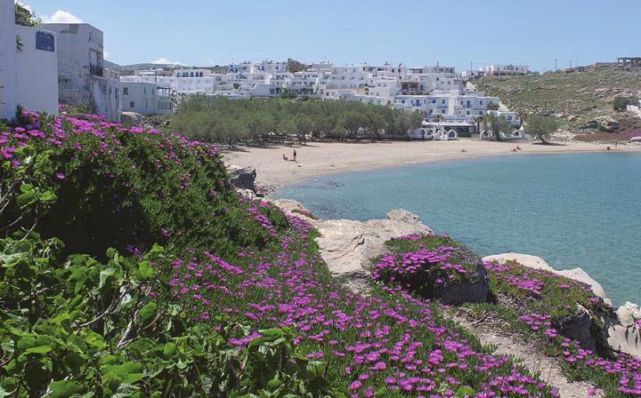 Union Reiseteam weiter auf Erfolgskurs Image 1 Union Reiseteam weiter auf Erfolgskurs Image 1