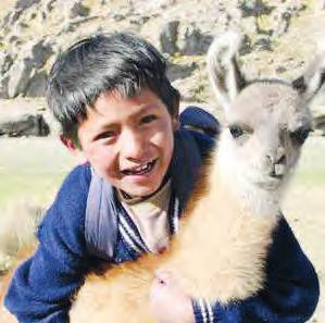 Originell und sinnvoll: Wer ein Lama verschenkt, hilft Kindern und Familien in Bolivien mit wärmender Wolle und sorgt gleichzeitig für eine beglückende Weihnachtsüberraschung Foto: djd/World Vision Originell und sinnvoll: Wer ein Lama verschenkt, hilft Kindern und Familien in Bolivien mit wärmender Wolle und sorgt gleichzeitig für eine beglückende Weihnachtsüberraschung Foto: djd/World Vision