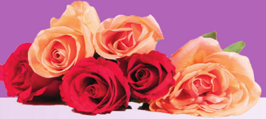 Zeit für Romantik – und höchste Zeit für die Planung Image 1 Zeit für Romantik – und höchste Zeit für die Planung Image 1