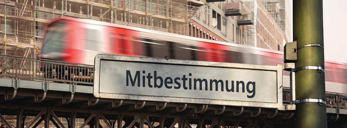Die öffentliche Wertschätzung gesellschaftlicher Mitbestimmung in Form von Bürgerbeteiligung und Volksentscheid nimmt derzeit Fahrt auf – wohin die Reise dabei geht, das sollten die mündigen Bürger sehr genau im Auge behalten; denn wer am Ende außer den Aktivisten wirklich davon profitieren wird, ist zunächst bestenfalls schemenhaft zu erkennen. FOTOLIA/THOMAS REIMER