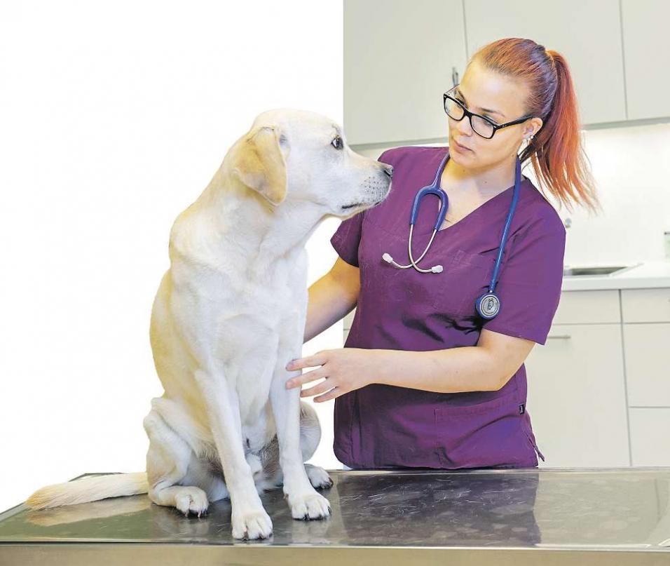 Lea Kilian (18) ist im zweiten Ausbildungsjahr zur Tiermedizinischen Fachangestellten Heiner Köpcke Lea Kilian (18) ist im zweiten Ausbildungsjahr zur Tiermedizinischen Fachangestellten Heiner Köpcke