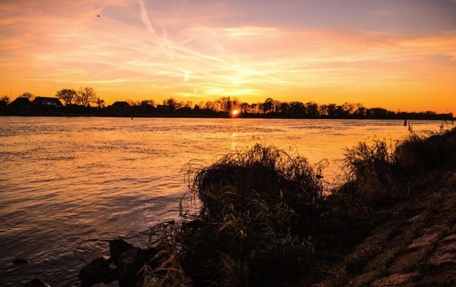 Die herbstliche Elbe vor Lauenburg FOTO: DOROTHEE MEYER