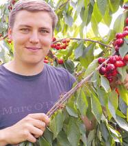 Torben Krieger, Juniorchef vom Obsthof Krieger, lädt zum Kirschenfest Torben Krieger, Juniorchef vom Obsthof Krieger, lädt zum Kirschenfest