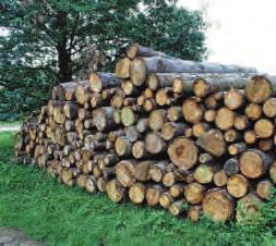 Die Vielfalt macht das Niendorfer Gehege aus Image 2 Die Vielfalt macht das Niendorfer Gehege aus Image 2