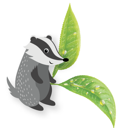 Nachhaltiger Leben Image 2 Nachhaltiger Leben Image 2