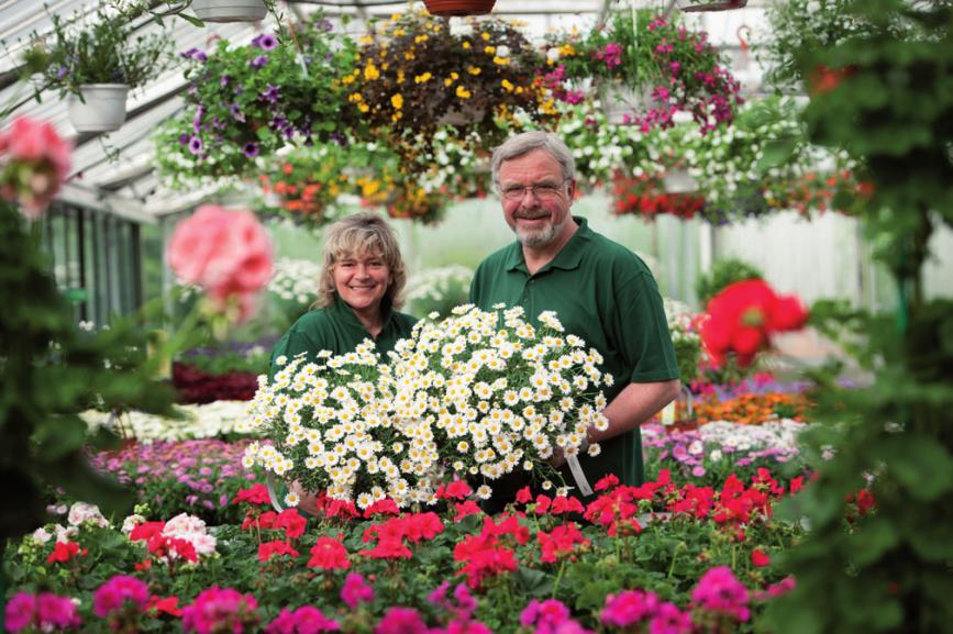 Iris Prielipp und Werner Pein vom Blumenhof Pein im Blütenmeer FOTO: ©HEIKE GÜNTHER
