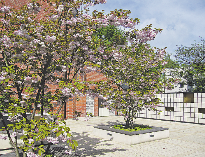 Blick in den Innenhof, der auch Paradiesgarten genannt wird. Blick in den Innenhof, der auch Paradiesgarten genannt wird.