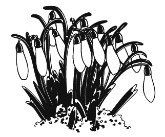 Den Todesfall verkünden Image 3 Den Todesfall verkünden Image 3