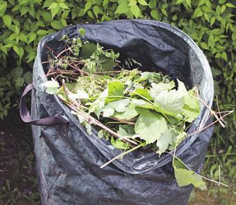 Grünschnitt kann man auf dem eigenen Komposthaufen entsorgen oder auf den Recyclinghof von Heinz Husen bringen. Foto:Fotolia/buhk Grünschnitt kann man auf dem eigenen Komposthaufen entsorgen oder auf den Recyclinghof von Heinz Husen bringen. Foto:Fotolia/buhk