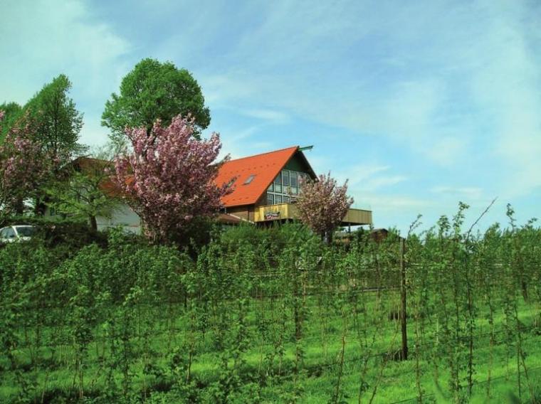 Idylle in der Wedeler Marsch – das Obst-Paradies Kleinwort