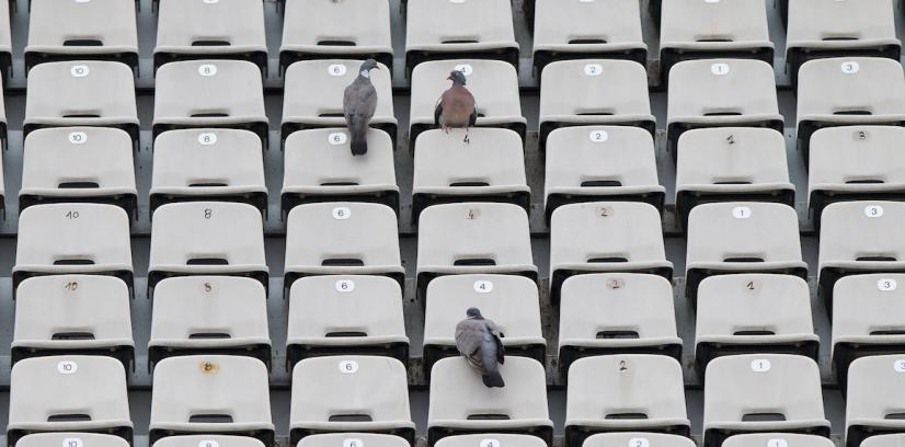Taubenschei… überall, da mussten die Hawkeyes der Lüfte ran. (Foto: Jürgen Hasenkopf) Taubenschei… überall, da mussten die Hawkeyes der Lüfte ran. (Foto: Jürgen Hasenkopf)