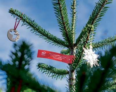 Aus der Region – und aus nachhaltiger Erzeugung Image 1 Aus der Region – und aus nachhaltiger Erzeugung Image 1