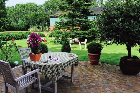 Gepflasterte Terrasse
