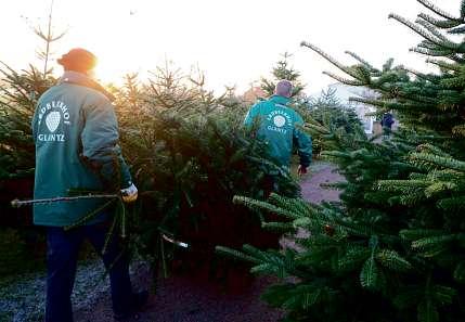 Adventszauber im Wäldchen mit Glantz Image 2 Adventszauber im Wäldchen mit Glantz Image 2