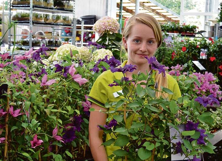 Gartencenter Matthies Alles für Ihren Garten