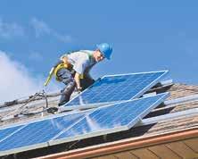 800 BUCHEN sind nötig, um dieselbe Menge CO2 zu binden, die eine 16-Kilowatt-Hausdachanlage vermeidet. Foto: Elena-Elisseeva (shutterstock) 800 BUCHEN sind nötig, um dieselbe Menge CO2 zu binden, die eine 16-Kilowatt-Hausdachanlage vermeidet. Foto: Elena-Elisseeva (shutterstock)