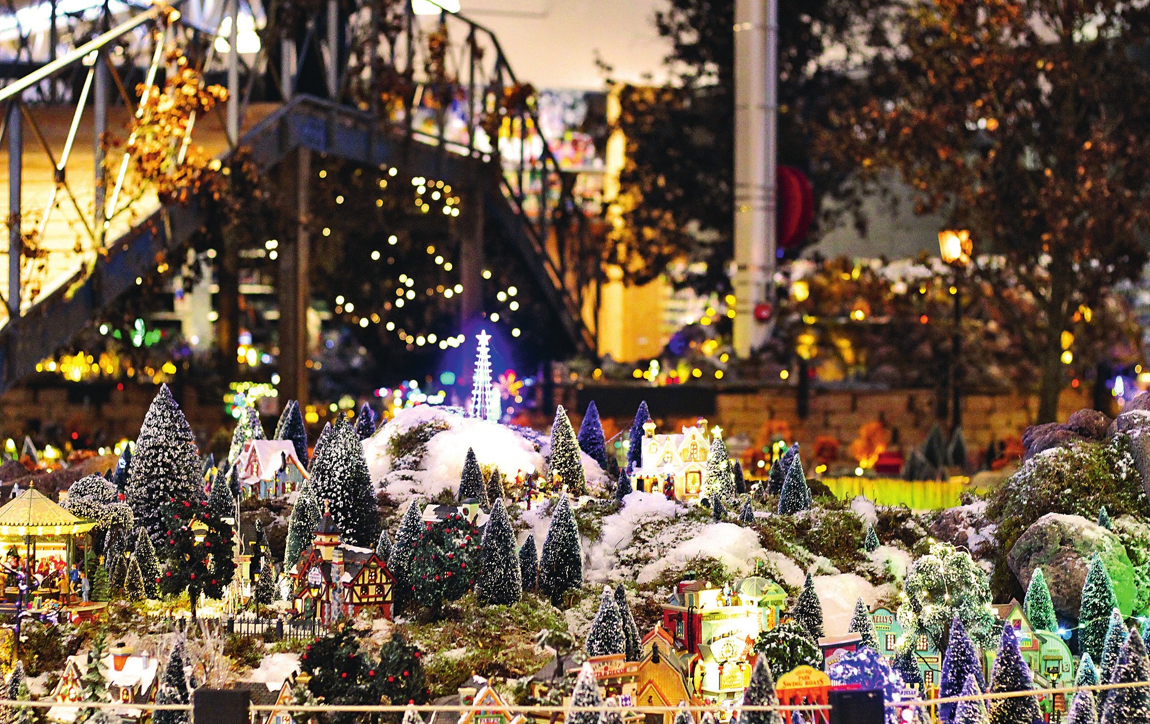 im Duiven Intratuin Ein botanisches Weihnachtsmärchen