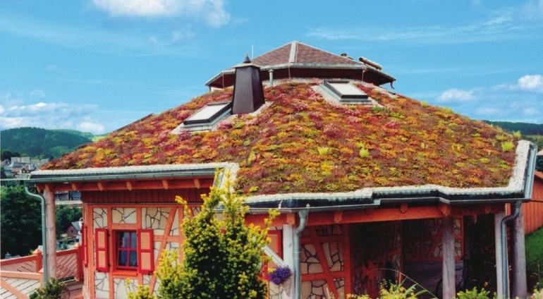 Ein Gründach von ICOPAL