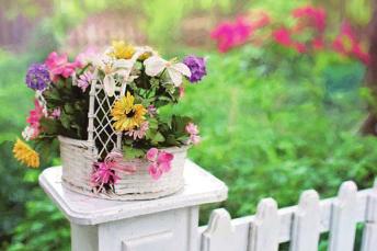 Blumen fürs Finanzamt? Wird ein Zaun erst nach dem Einzug des Neubaus errichtet, kann der steuerliche Bonus für die Handwerksleistung gewährt werden. Foto: pixabay Blumen fürs Finanzamt? Wird ein Zaun erst nach dem Einzug des Neubaus errichtet, kann der steuerliche Bonus für die Handwerksleistung gewährt werden. Foto: pixabay