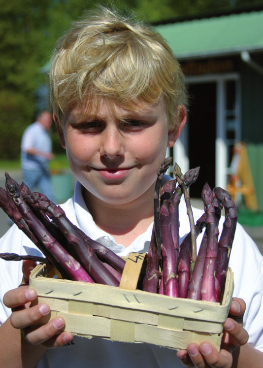 Hannes Schmietendorf mit hofeigenem Spargel