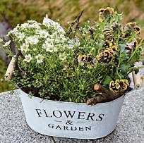 Blumen und Pflanzen machen Lustauf Frühling Blumen und Pflanzen machen Lustauf Frühling